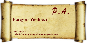 Pungor Andrea névjegykártya